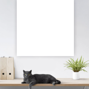 Foto's op canvas